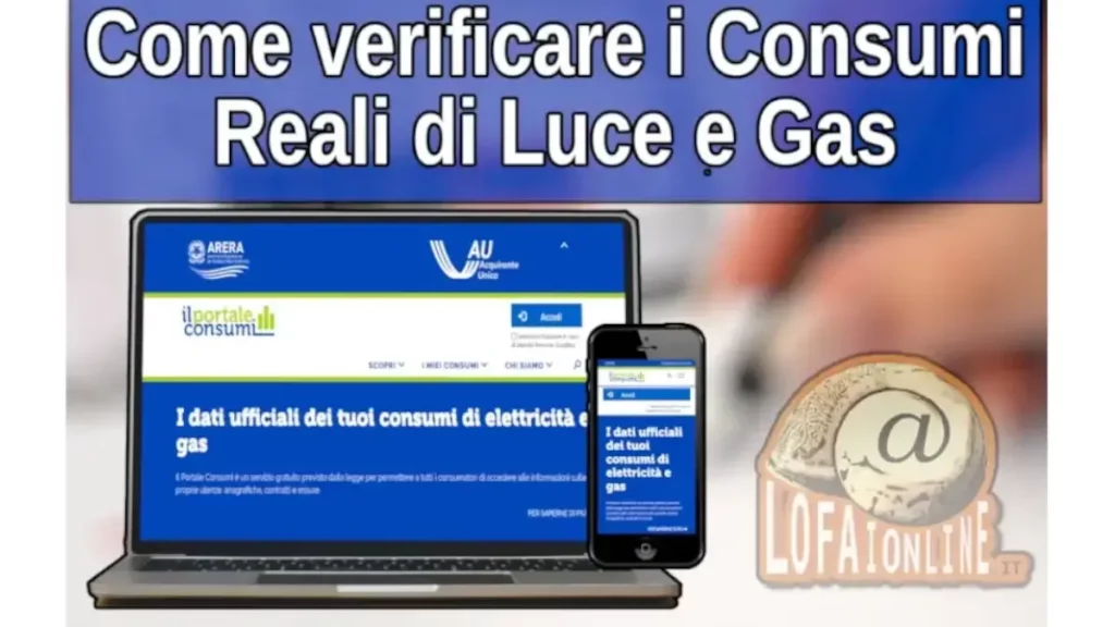 Guida per verificare online i reali consumi di gas e luce