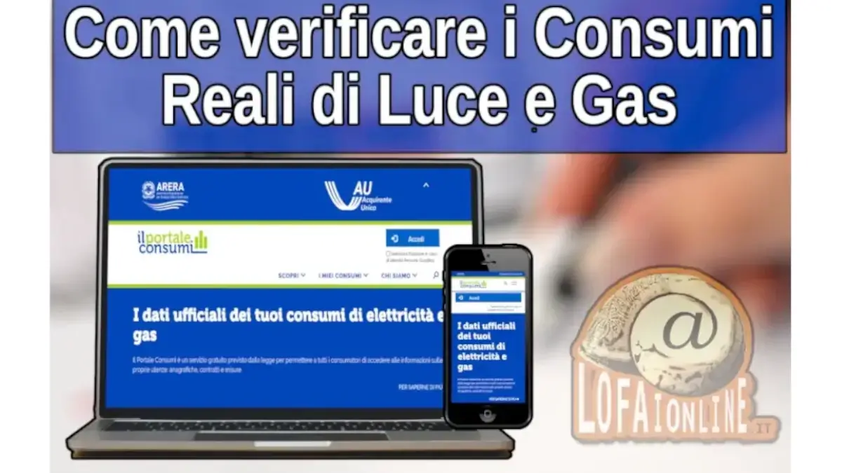Guida per verificare online i reali consumi di gas e luce