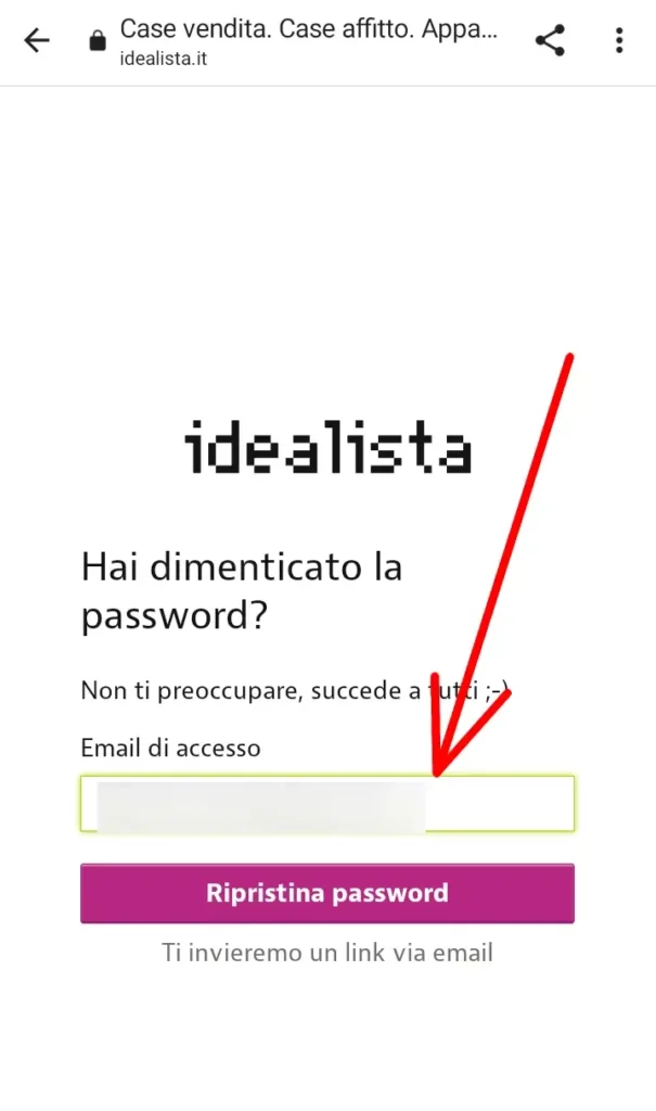 Inserisci l'email per recuperare la password di idealista