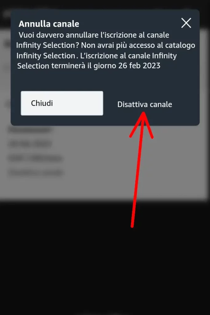 Come Disattivare i Canali a Pagamento di Prime Video Disattivare canali prime da Telefono - 5 clicca su disattiva canale