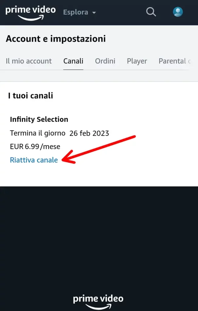 Come Disattivare i Canali a Pagamento di Prime Video Conferma disdetta canale prime aggiuntivo