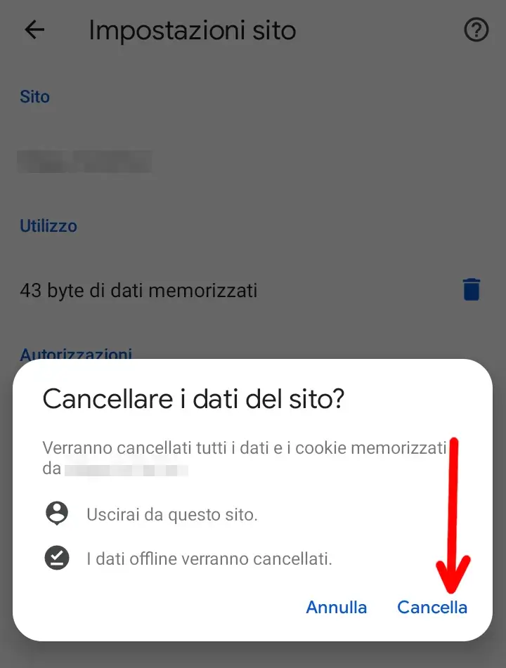 Cancella i dati e i cookie del sito selezionato su chrome