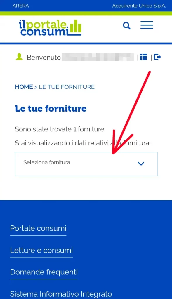 Seleziona la fornitura per cui verificare i consumi