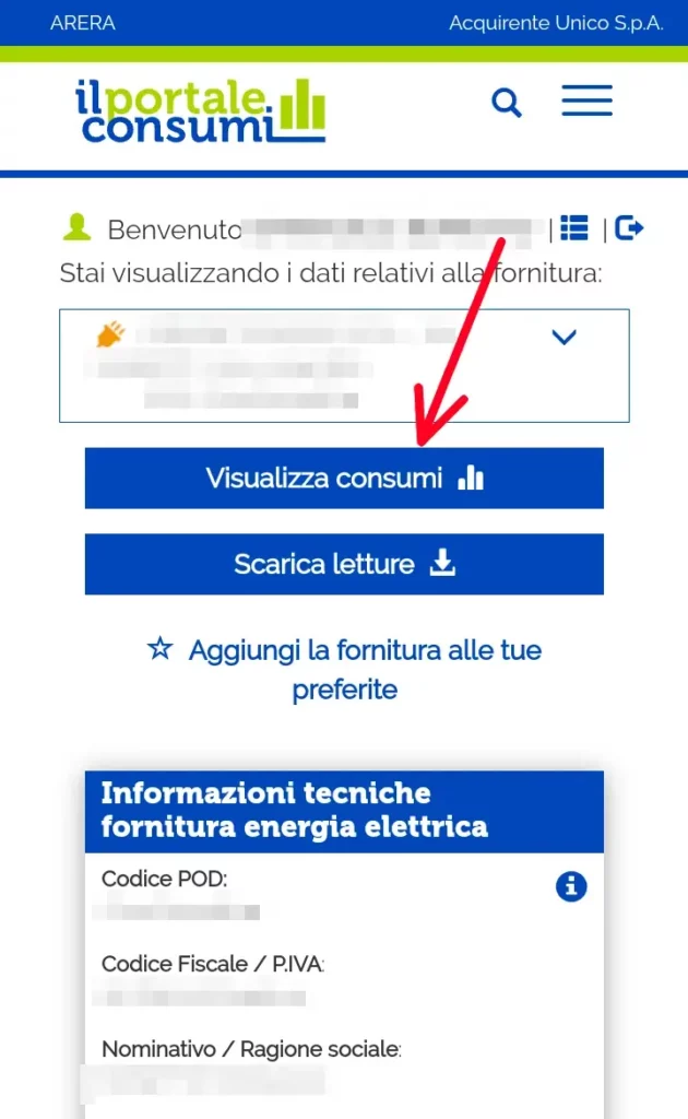 Visualizza i consumi dell'utenza scelta per luce o gas