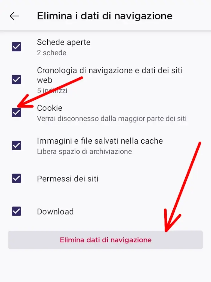 Scegli se eliminare i cookie e quali altri dati di navigazione