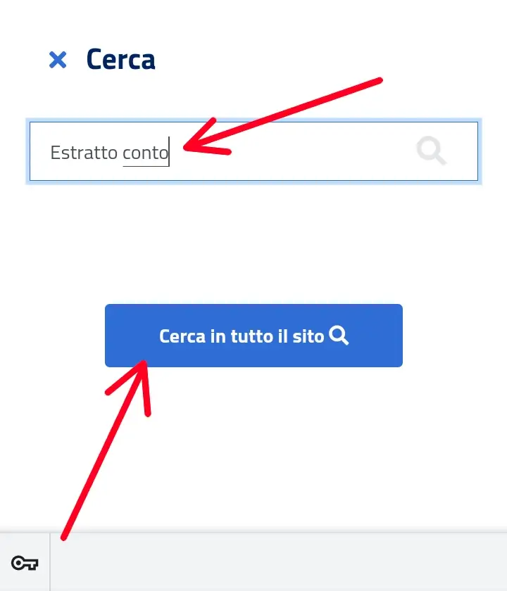 Scrivi estratto conto e clicca cerca in tutto il sito
