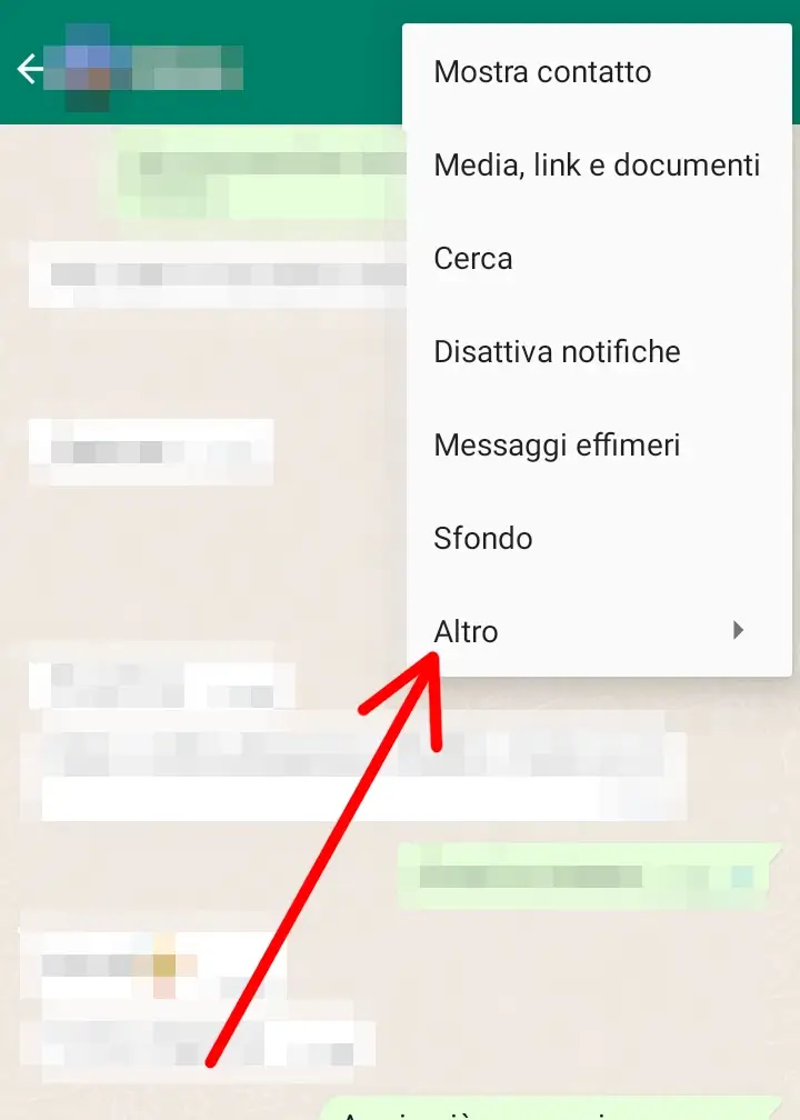 Dalla chat con il contatto clicca i tre puntini e poi su altro