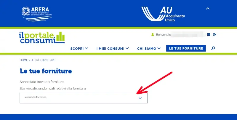 Seleziona la fornitura di luce o gas per verificare i consumi