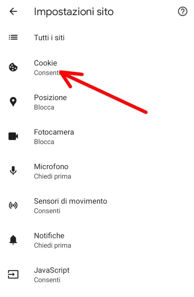 Clicca su Cookie per gestire, disattivare o eliminare quelli di chrome