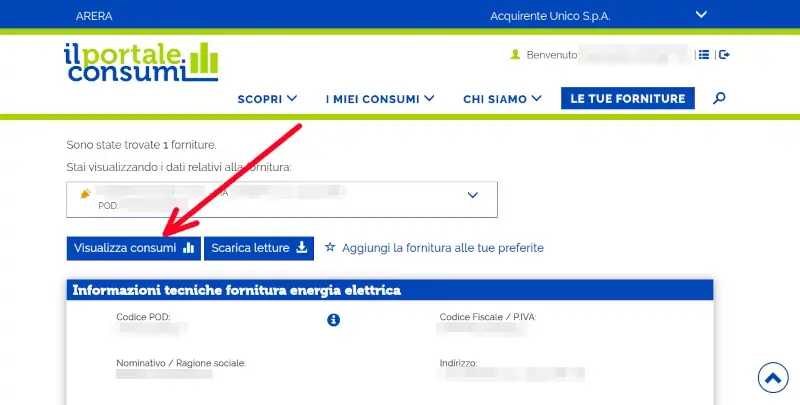 Visualizza i consumi sul portale dei consumi