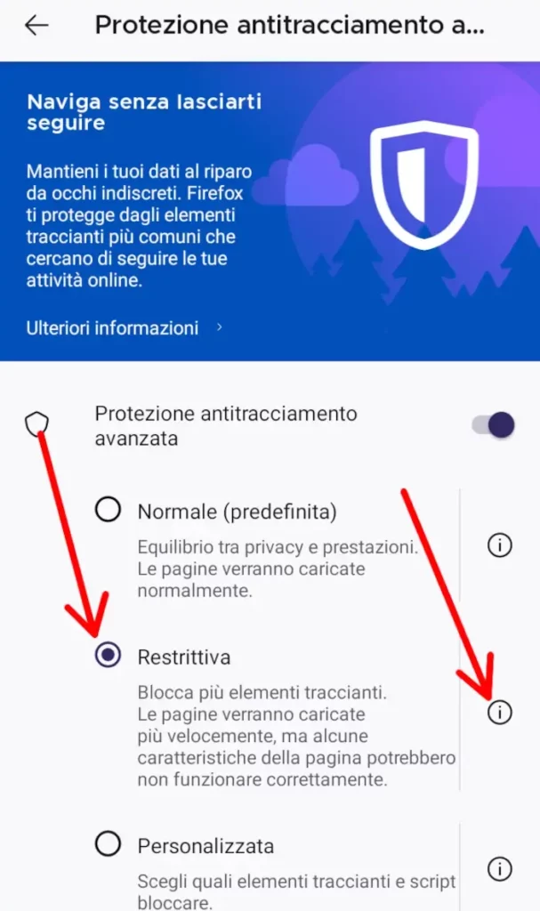 Nella modalità restrittiva vengono salvati solo cookie essenziali