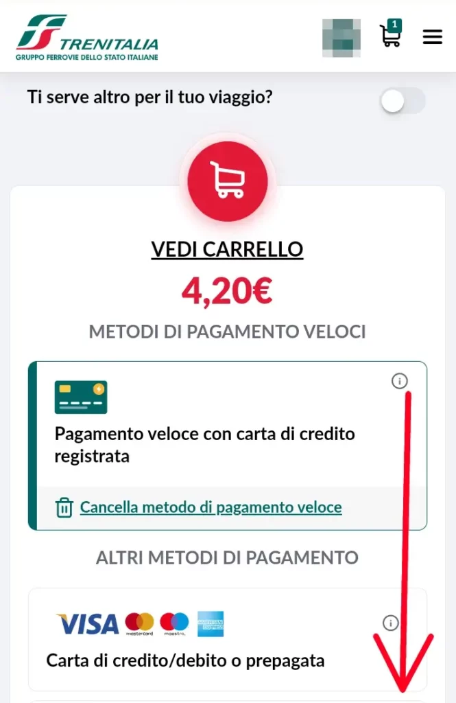 I metodi di pagamento per pagare il biglietto del treno online