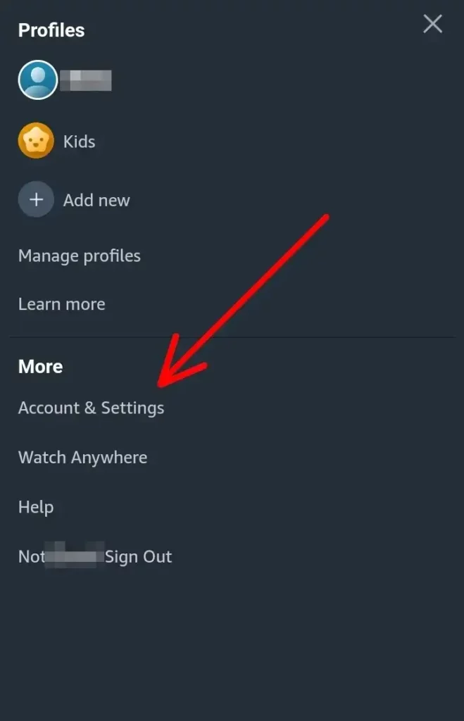 Andare su account e settings impostazioni per cambiare la lingua