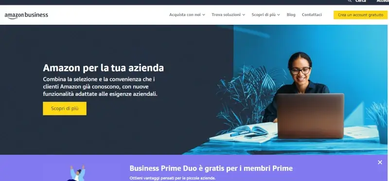 Guadagnare con Amazon Business