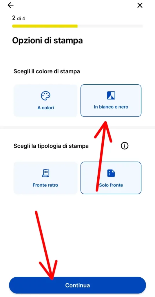 Scegli se stampare a colori e se stampare fronte e retro la raccomandata