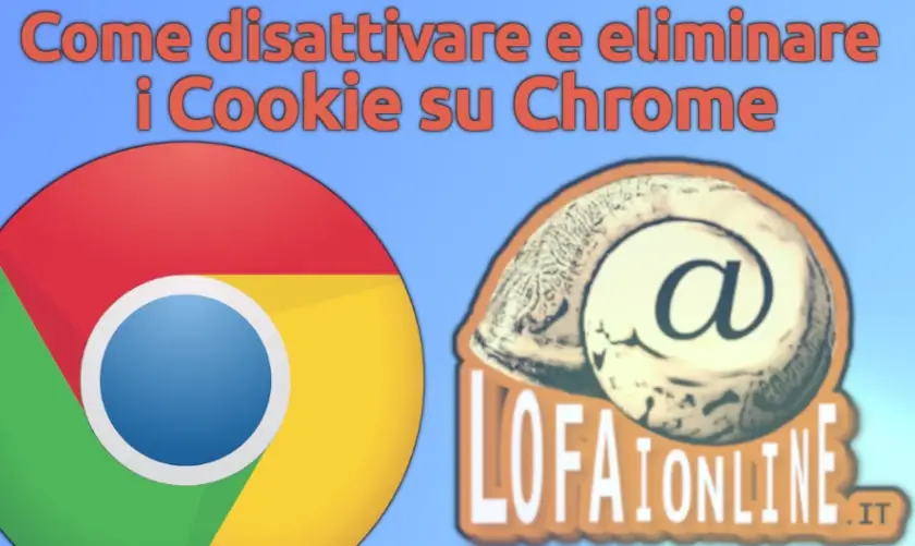 Tutte le informazioni utili per gestire i Cookie salvati dal browser sul tuo computer