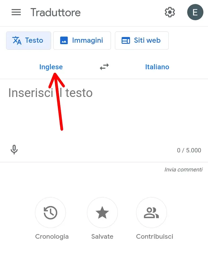 Tradurre una lingua utilizzando google translate dal telefono