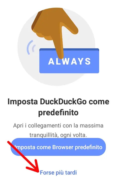 Puoi impostarlo come browser predefinito per mettere la tua privacy al sicuro