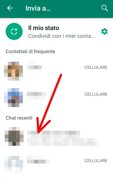 Seleziona i contatti WhatsApp a cui inviare il video di YouTube