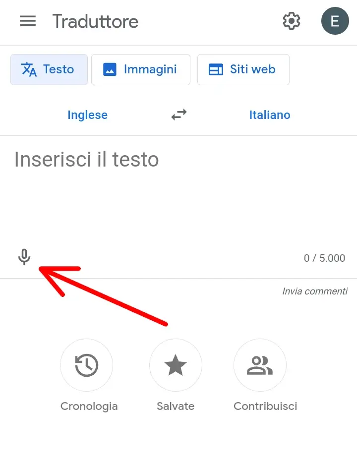 Puoi tradurre anche un audio come un vocale o qualcuno che parla usando il microfono