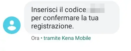 5 - attendi un sms con un codice di conferma da inserire sul sito