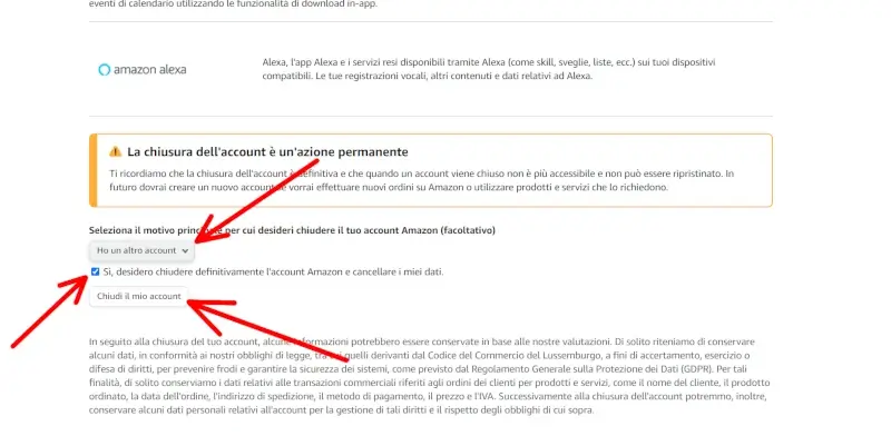 Indica il motivo per cui vuoi procedere e poi clicca su chiudi il mio account