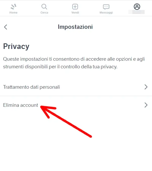 Nella nuova pagina sulla privacy, clicca su elimina account per procedere