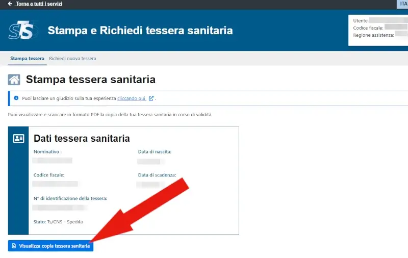 Clicca su visualizza copia tessera sanitaria