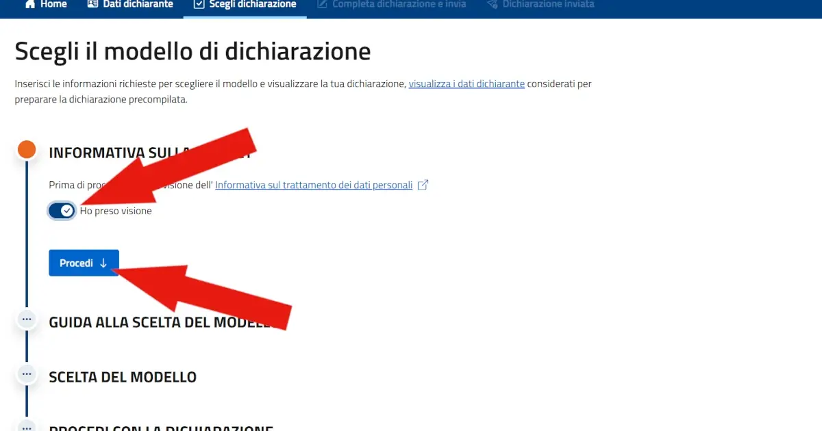 Screenshot della pagina per scegliere il modello di dichiarazione. Illustra il primo step di accettazione privacy.