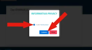 Screenshot dell'avviso per accettare l'informativa sulla privacy del servizio passaporti online, con la casella da selezionare e il tasto Conferma.