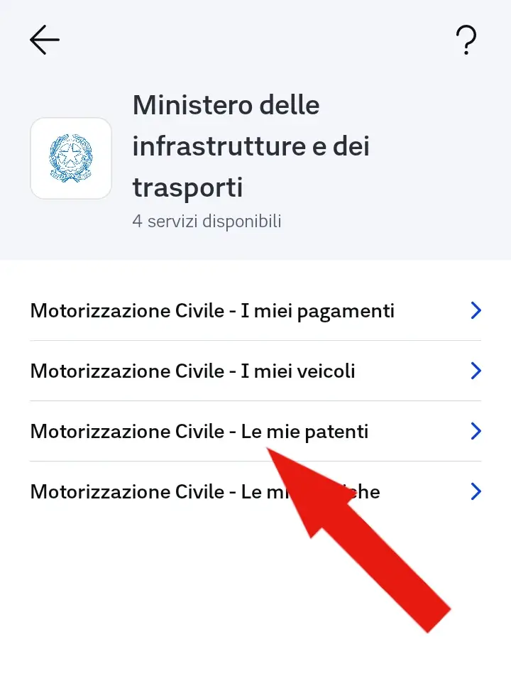 Elenco dei servizi del ministero dei trasporti disponibili su app IO.