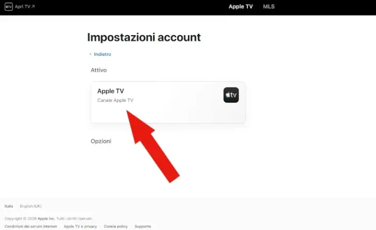 Screenshot degli abbonamenti attivi elencati nelle impostazioni di Apple TV.