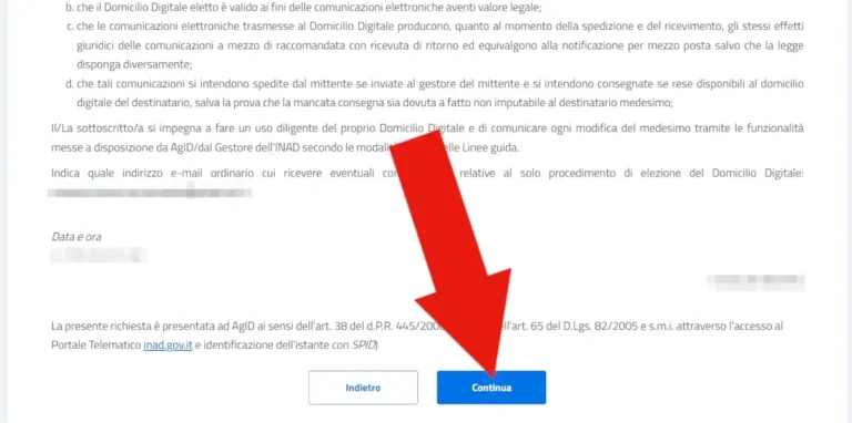 Screenshot della pagina di dichiarazione di responsabilità e veridicità delle informazioni dichiarate.
